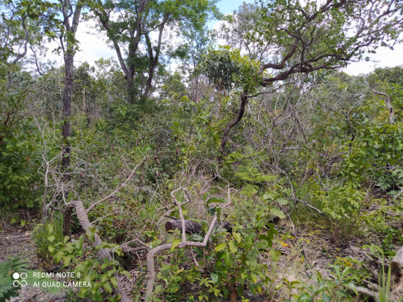 Imagem Fazenda à Venda,  em Mirador/ma - Mirador