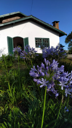 Imagem Casa com 4 Quartos à Venda ou Temporada, 711 m²em Alto Vila Inglesa - Campos do Jordão Imagem Casa com 4 Quartos à Venda ou Temporada, 711 m²em Alto Vila Inglesa - Campos do Jordão