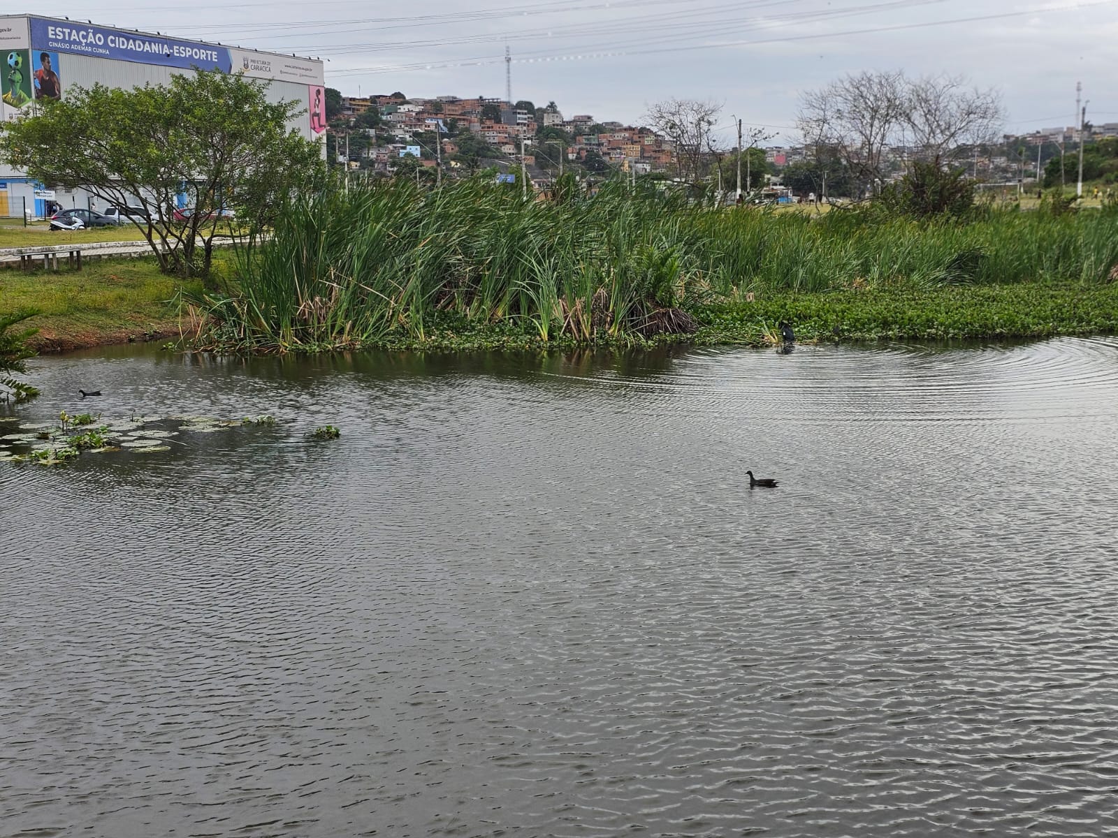 Imagem Sobrado com 6 Quartos à Venda, 850 m²em Itacibá - Cariacica