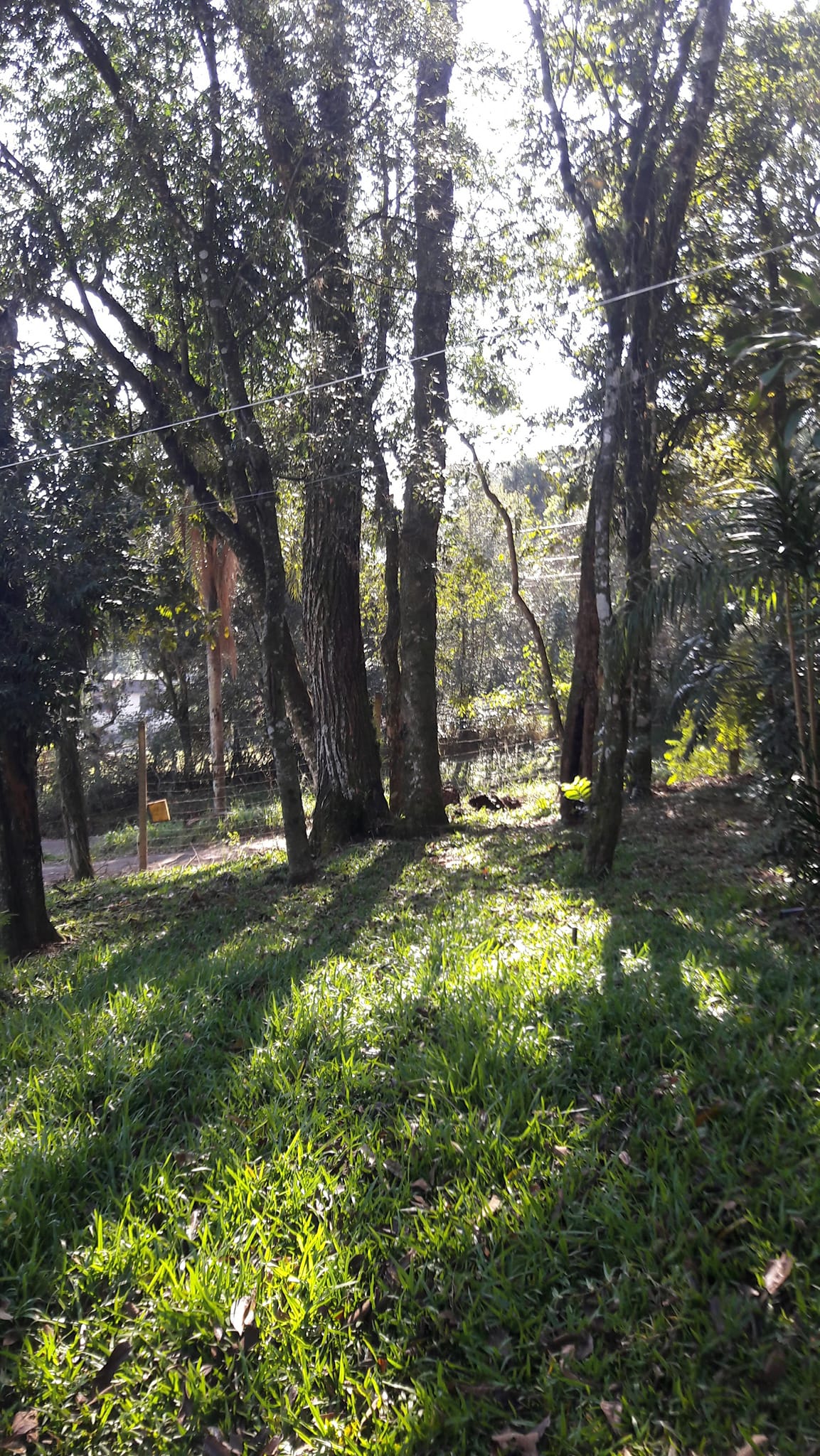Imagem Terreno à Venda, 3.200 m²em Efapi - Chapecó