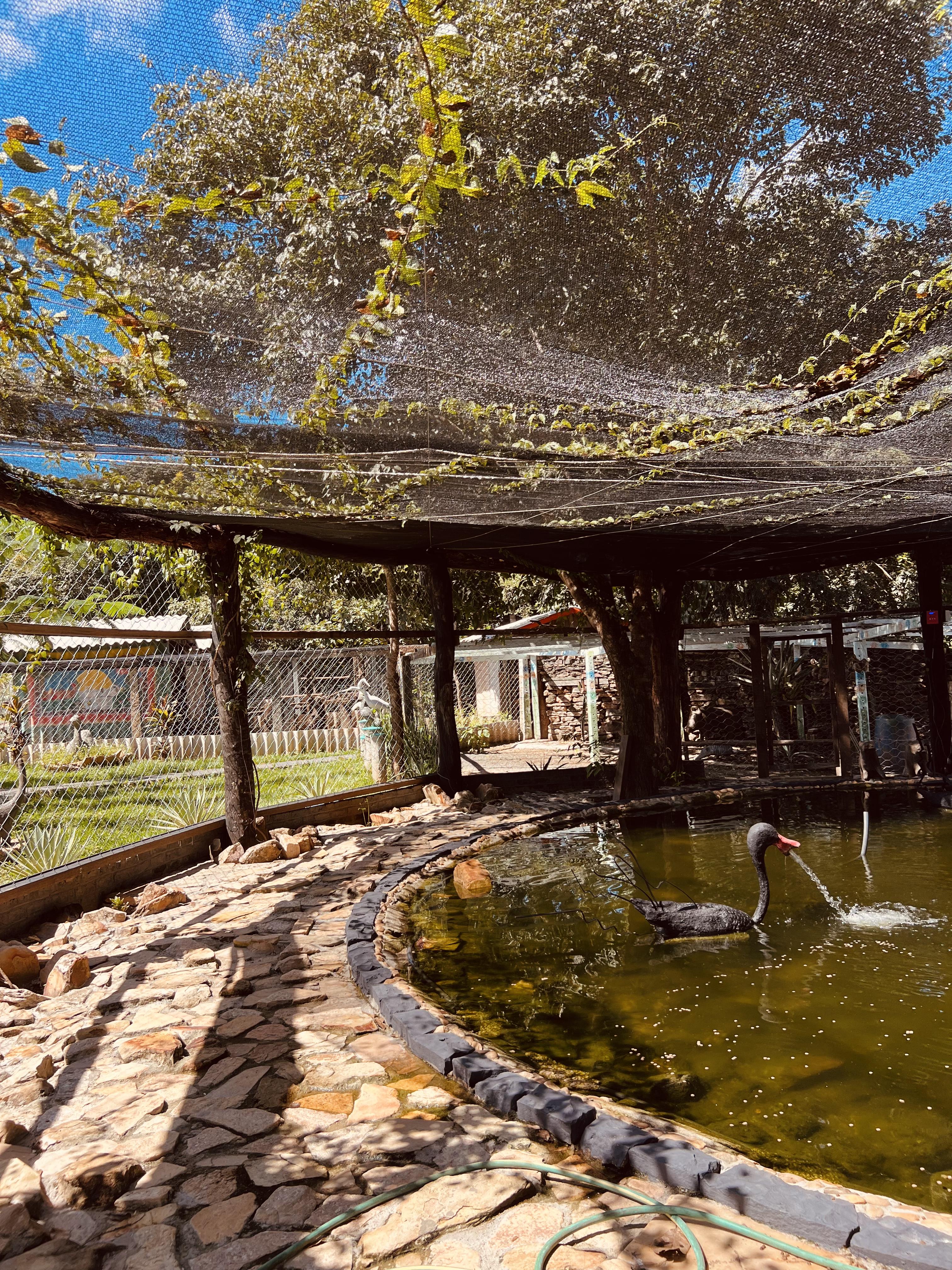 Imagem Chácara com 7 Quartos à Venda, 5.000 m² em Setor Central - Mairipotaba