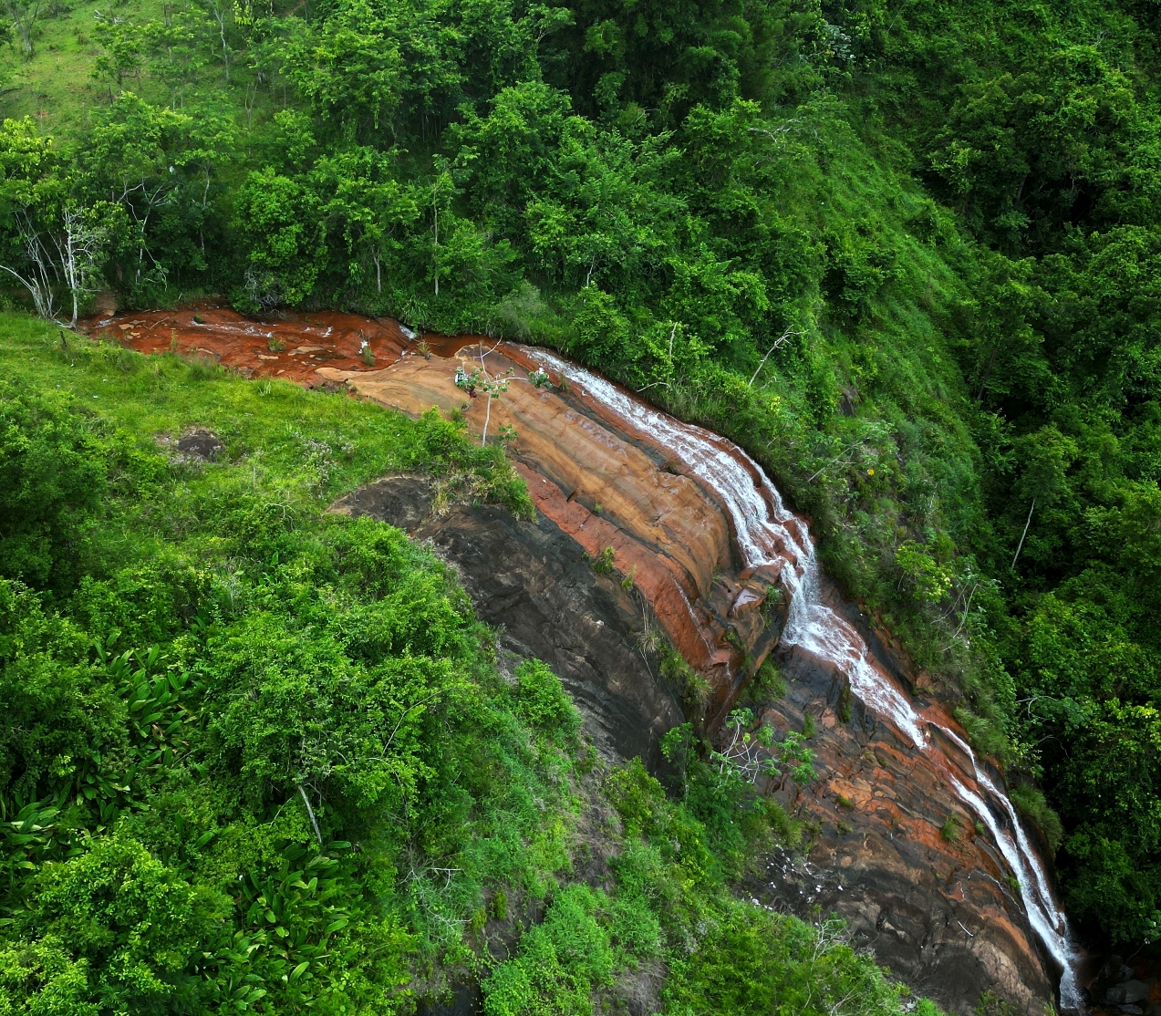 Imagem Fazenda à Venda, 459.000 HA em Área Rural de Valença - Valença