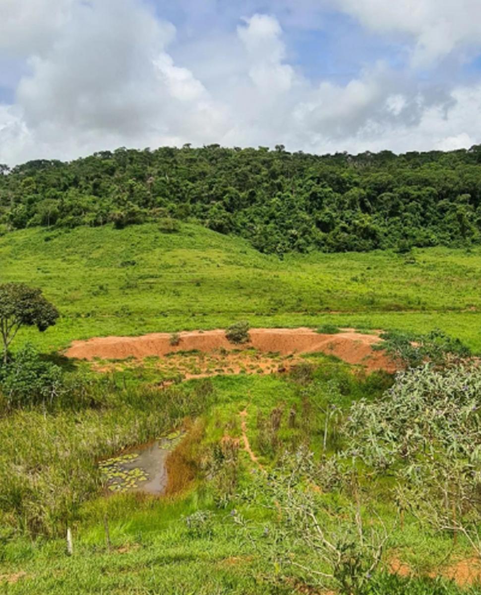 Imagem Chácara com 3 Quartos à Venda, 62.000 m² em Centro - Rio Casca Imagem Chácara com 3 Quartos à Venda, 62.000 m² em Centro - Rio Casca