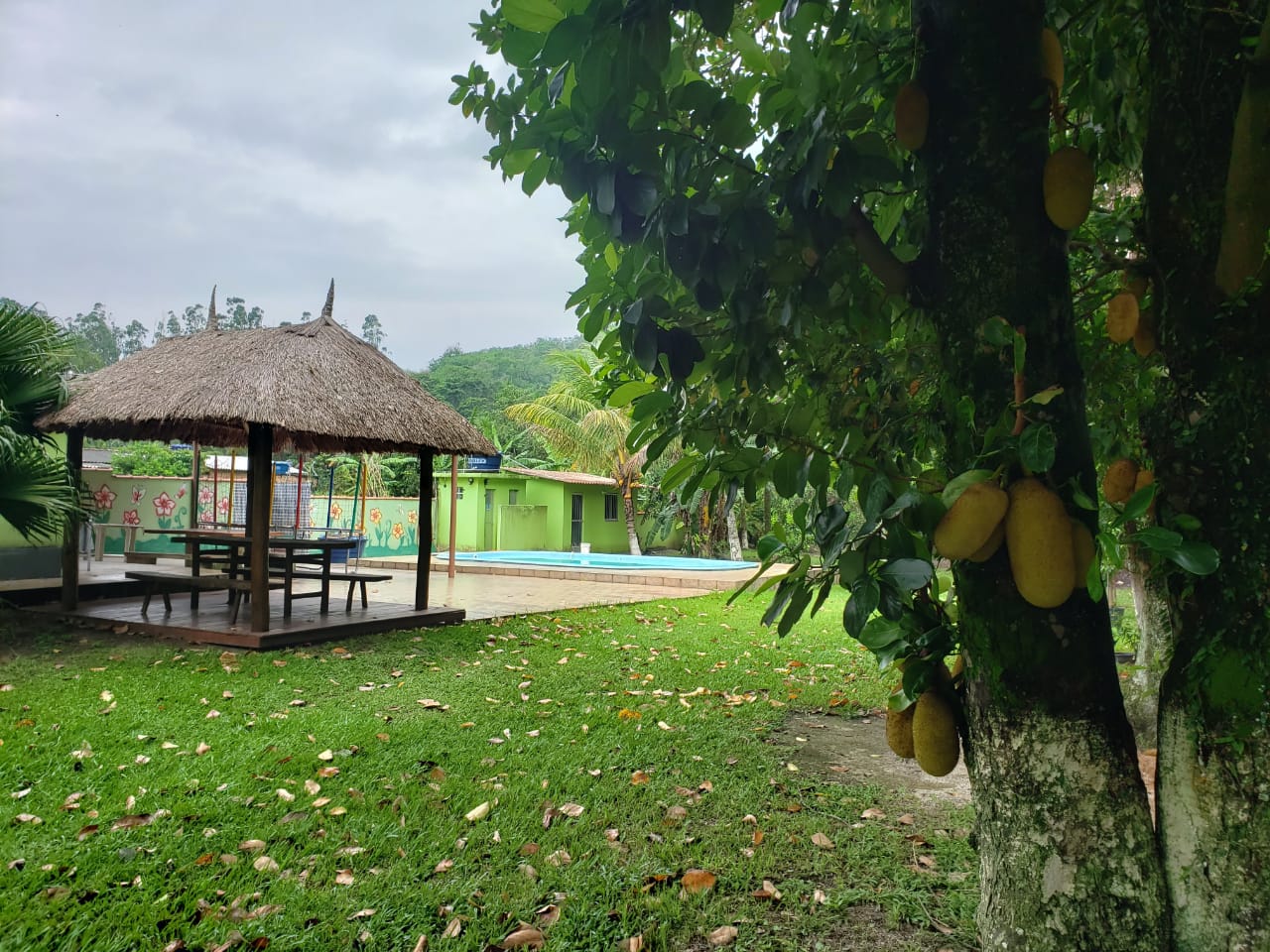 Imagem Chácara com 2 Quartos à Venda, 2.000 m² em Mazomba - Itaguaí Imagem Chácara com 2 Quartos à Venda, 2.000 m² em Mazomba - Itaguaí