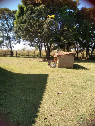 Imagem Chácara com 3 Quartos à Venda, 5.000 m²em Chácara Lourdes Meireles - Valparaíso de Goiás