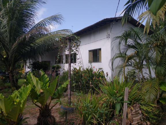 Imagem Chácara à Venda, 1 m² em Centro - Santa Isabel do Pará