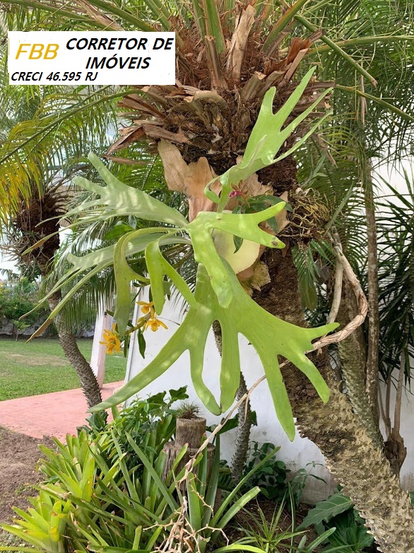 Imagem Casa com 7 Quartos à Venda, 2.480 m² em Ogiva - Cabo Frio Imagem Casa com 7 Quartos à Venda, 2.480 m² em Ogiva - Cabo Frio