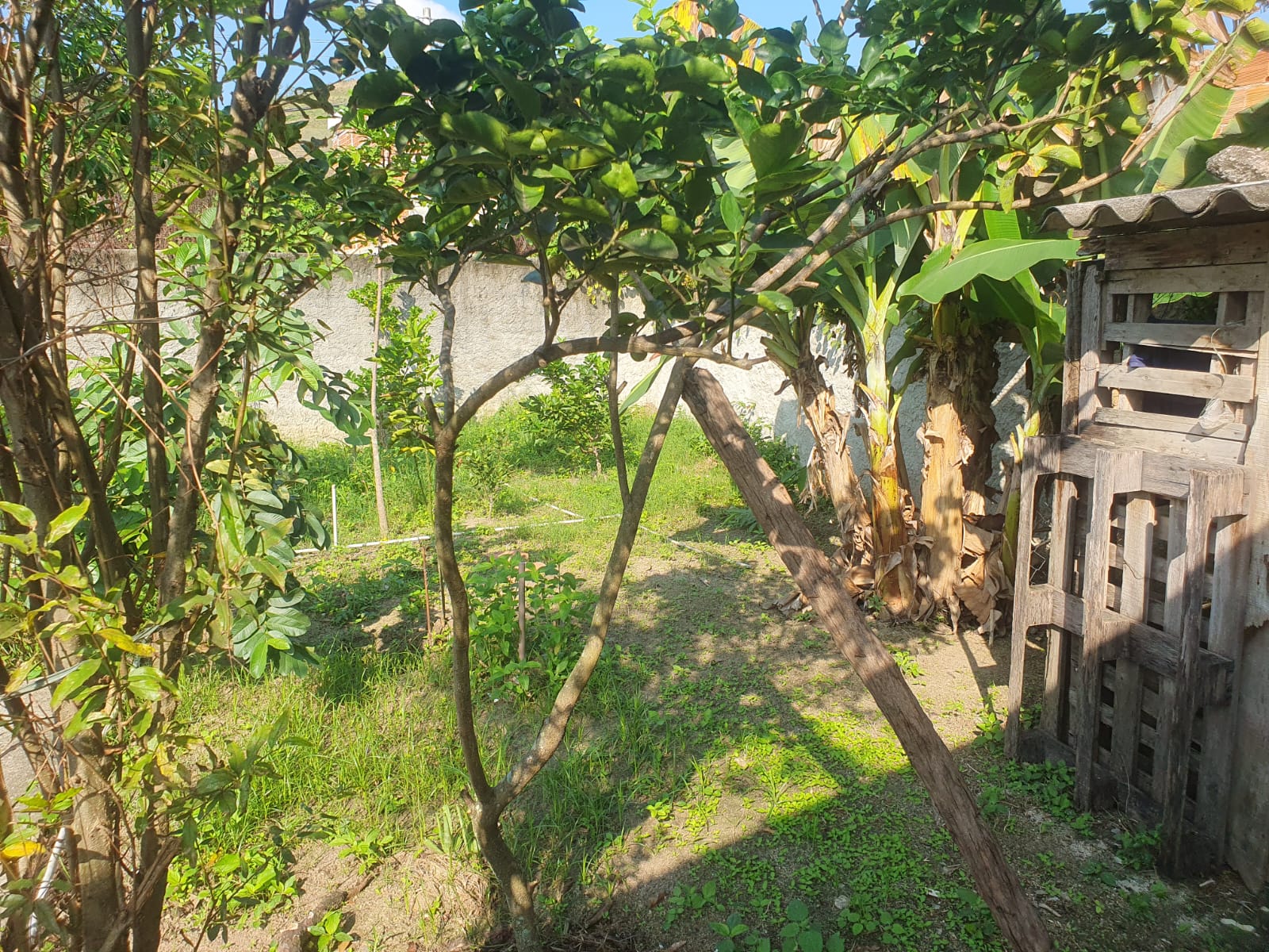Imagem Terreno à Venda, 128 m² em Bangu - Rio de Janeiro