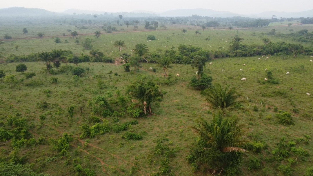 Imagem Fazenda à Venda, 1 m²em Centro - São Félix do Xingu Imagem Fazenda à Venda, 1 m²em Centro - São Félix do Xingu
