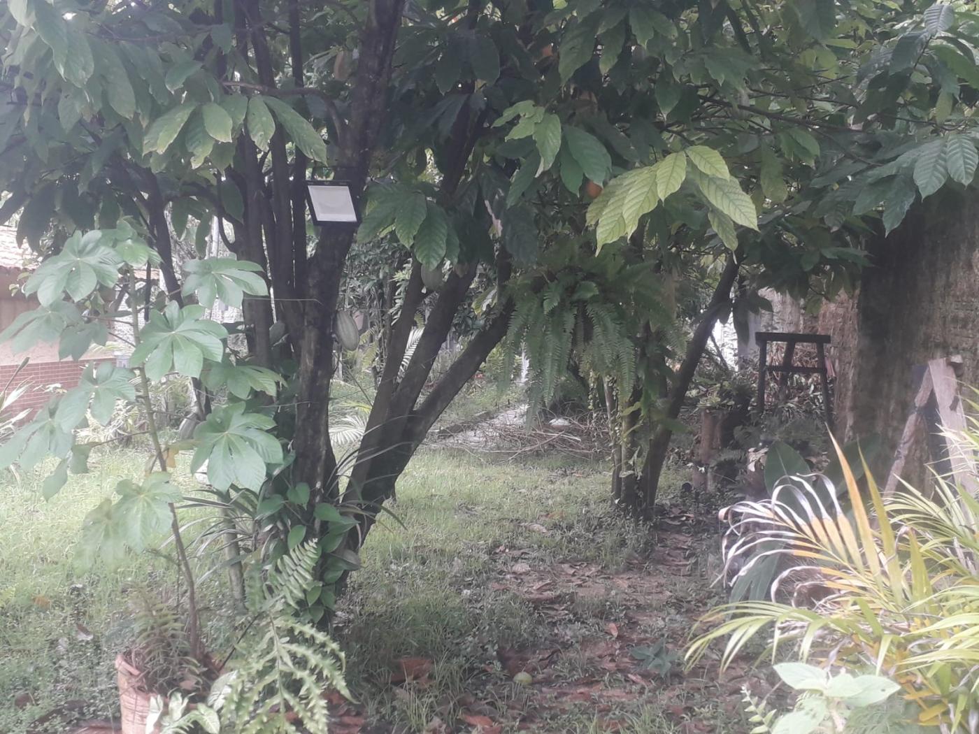 Imagem Casa com 5 Quartos à Venda, 11 m²em Ponta Grossa (Icoaraci) - Belém Imagem Casa com 5 Quartos à Venda, 11 m²em Ponta Grossa (Icoaraci) - Belém