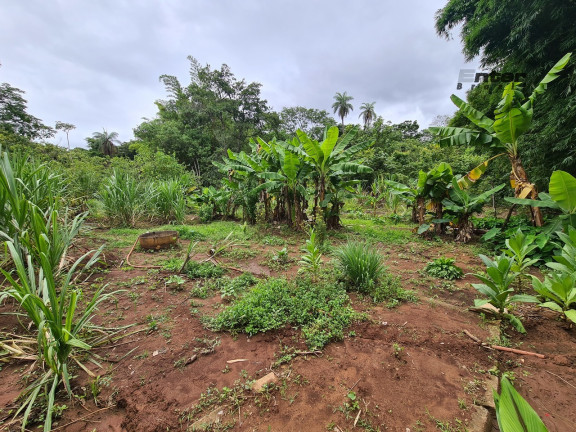 Imagem Fazenda à Venda, 24 HA em brazlandia - Brasília
