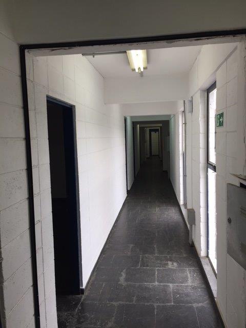 Imagem Galpão para Alugar, 3.247 m² em Vila Ribeiro de Barros - São Paulo