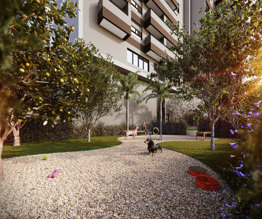 Imagem Apartamento com 3 Quartos à Venda, em Jardim Santo Amaro - São Paulo Imagem Apartamento com 3 Quartos à Venda, em Jardim Santo Amaro - São Paulo