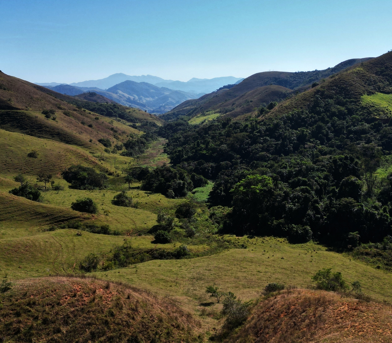 Imagem Fazenda à Venda, 459.000 HA em Área Rural de Valença - Valença