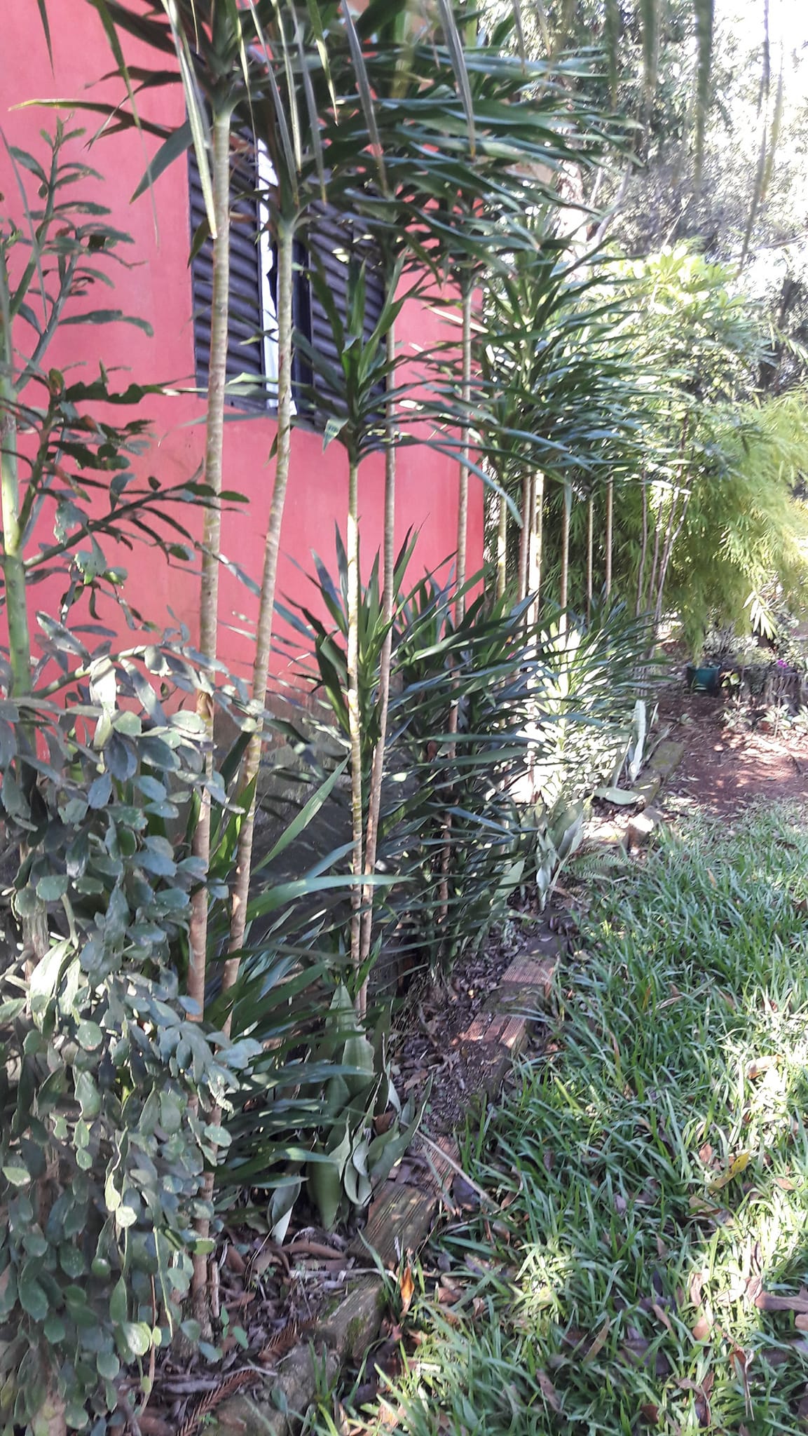 Imagem Terreno à Venda, 3 m²em Efapi - Chapecó
