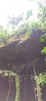 Imagem Terreno à Venda,  em Santaninha - Pedras Grandes