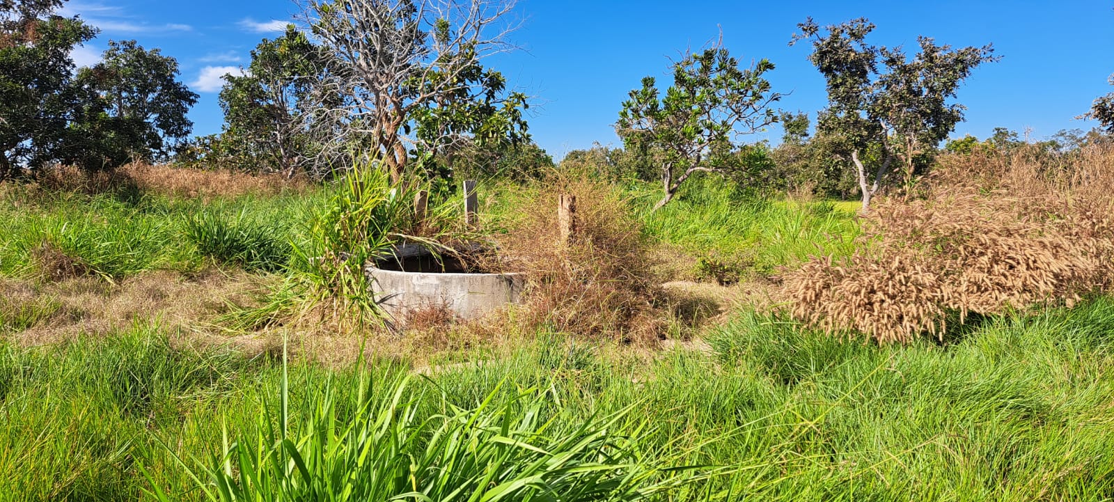 Imagem Fazenda à Venda, 25 Alq GOem Zona Rural - Araguaiana