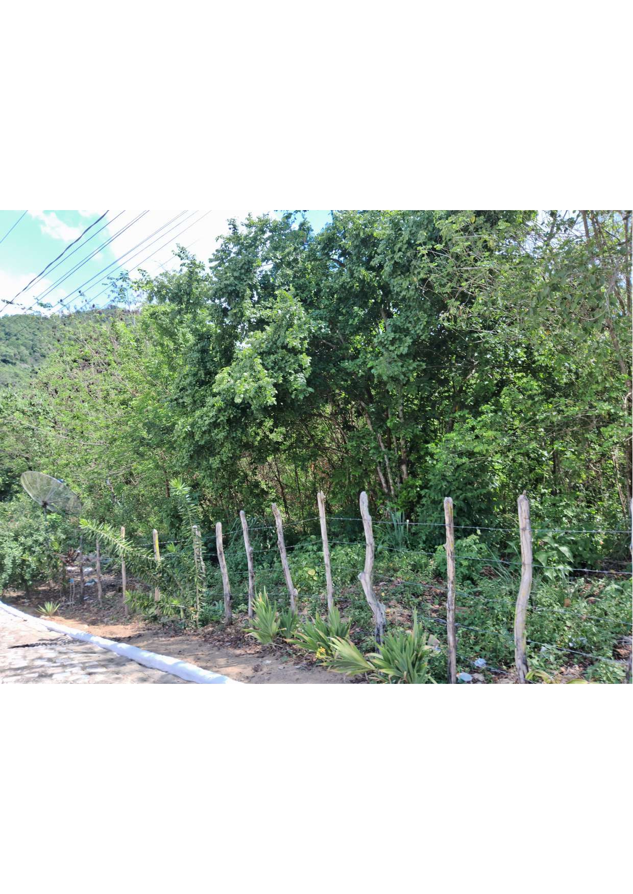 Imagem Chácara à Venda, 40 m²em Vila Maia - Bananeiras Imagem Chácara à Venda, 40 m²em Vila Maia - Bananeiras