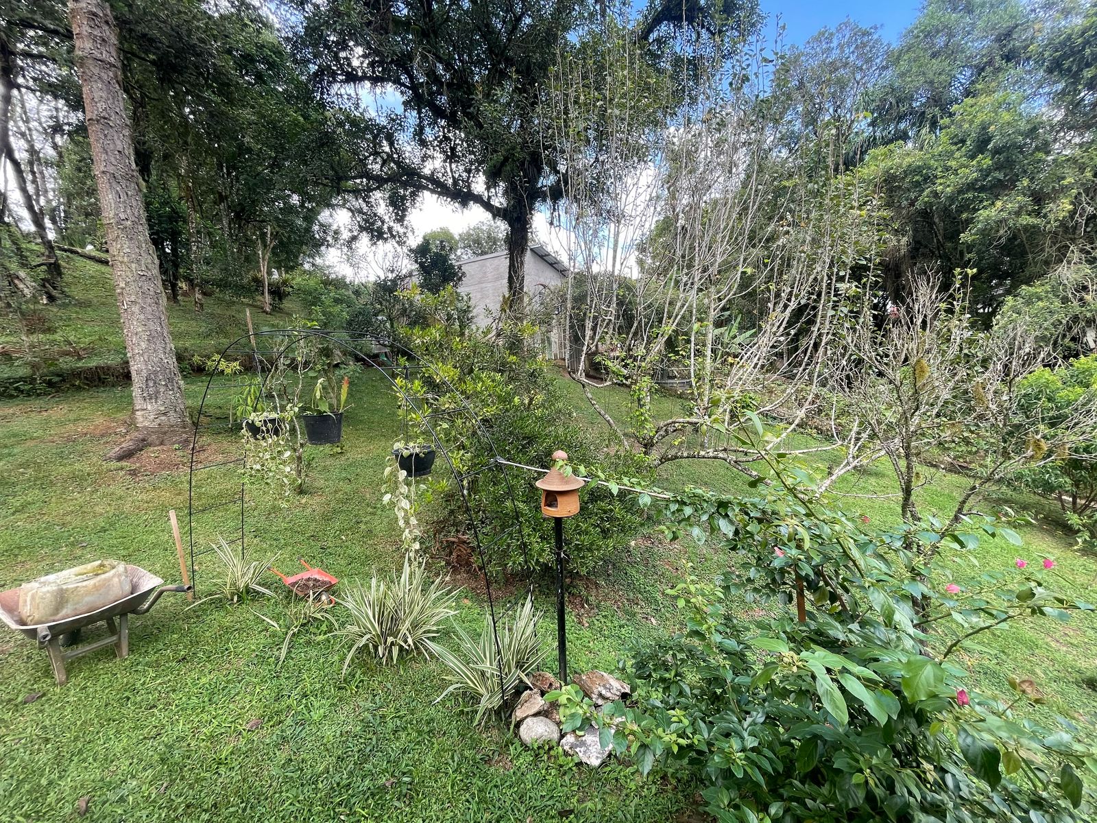 Imagem Chácara com 3 Quartos à Venda, 6.800 m² em Salgadinho - Campo Largo
