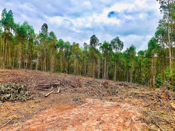 Imagem Terreno em Condomínio à Venda,  em Sebandilha - Mairinque