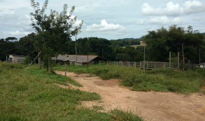 Imagem Fazenda à Venda, 8 Alq GOem Zona Rural - Silvânia