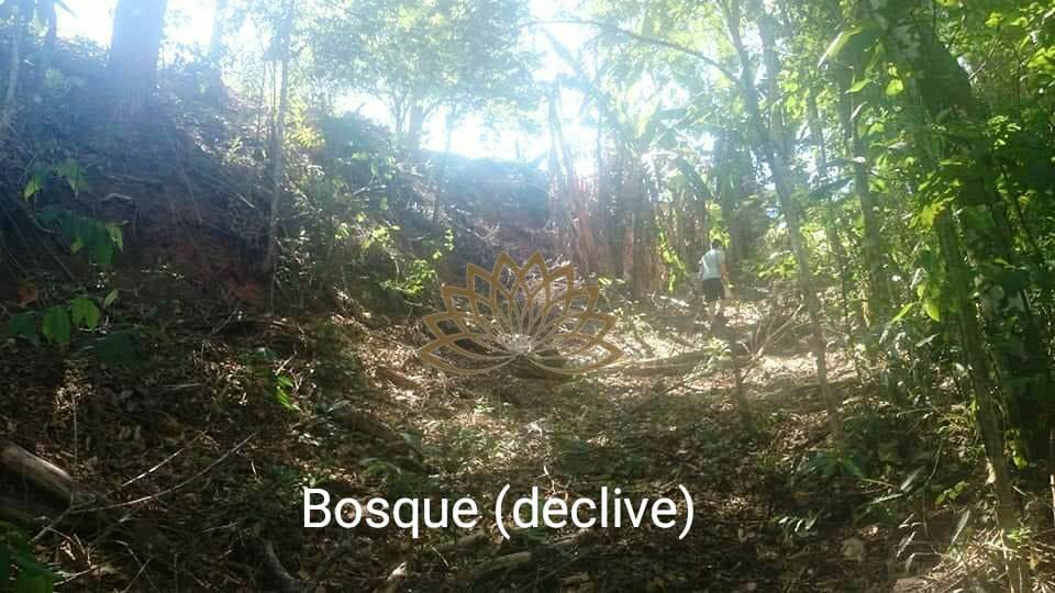 Imagem Terreno em Condomínio à Venda, 3 m²em Alpes D Ouro - Serra Negra - Bom Jesus dos Perdões