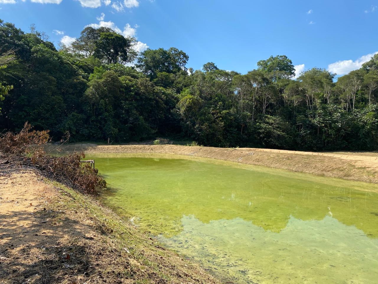Imagem Chácara com 3 Quartos à Venda, 25.000 m² em Presidente Fegueiredo - Manaus
