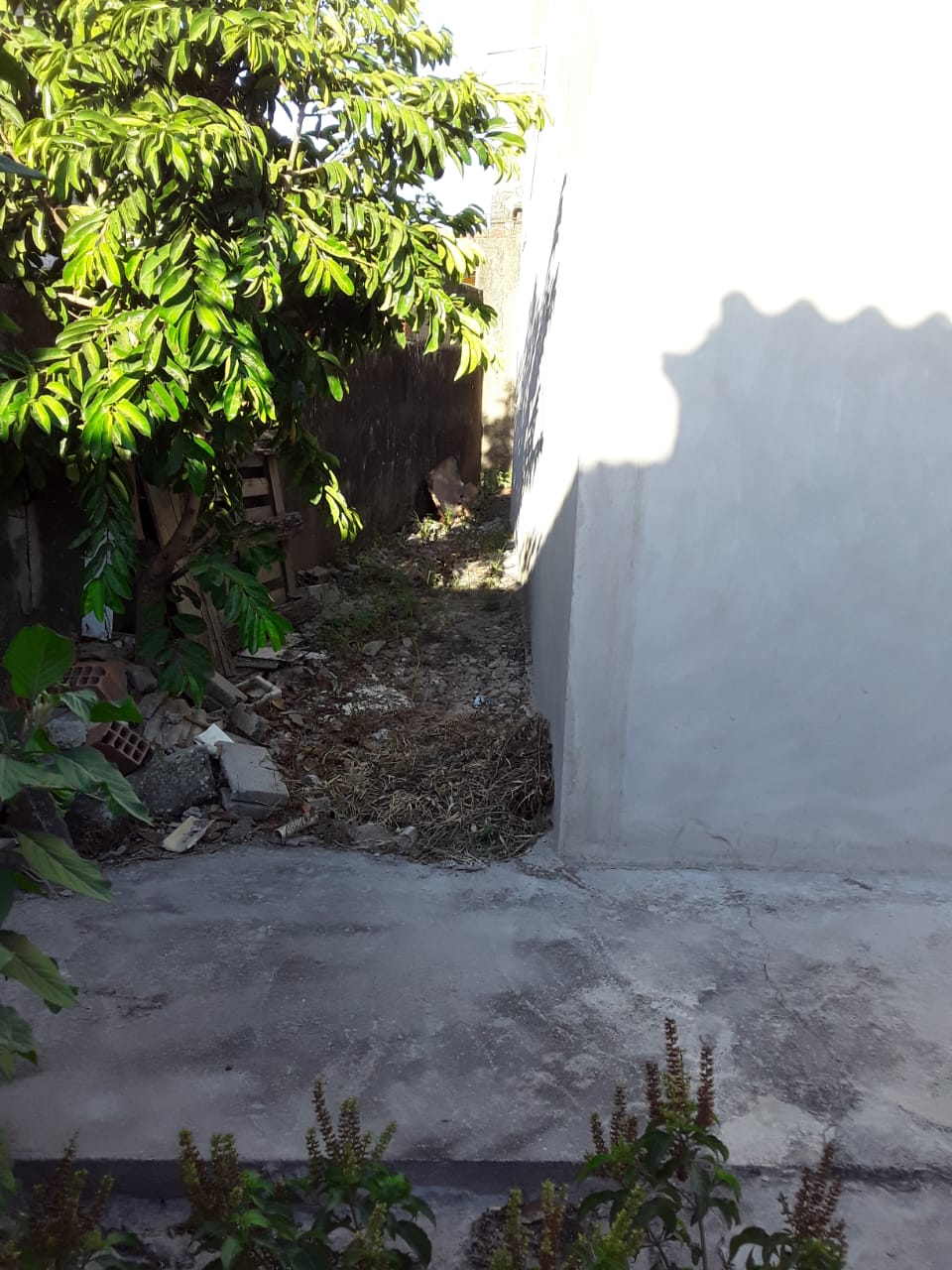 Imagem Casa com 2 Quartos à Venda, 125 m²em Centro Hípico (Tamoios) - Cabo Frio Imagem Casa com 2 Quartos à Venda, 125 m²em Centro Hípico (Tamoios) - Cabo Frio