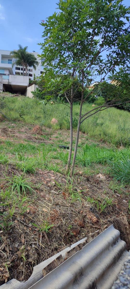 Imagem Terreno à Venda, 791 m² em Santa Sofia - Belo Horizonte Imagem Terreno à Venda, 791 m² em Santa Sofia - Belo Horizonte