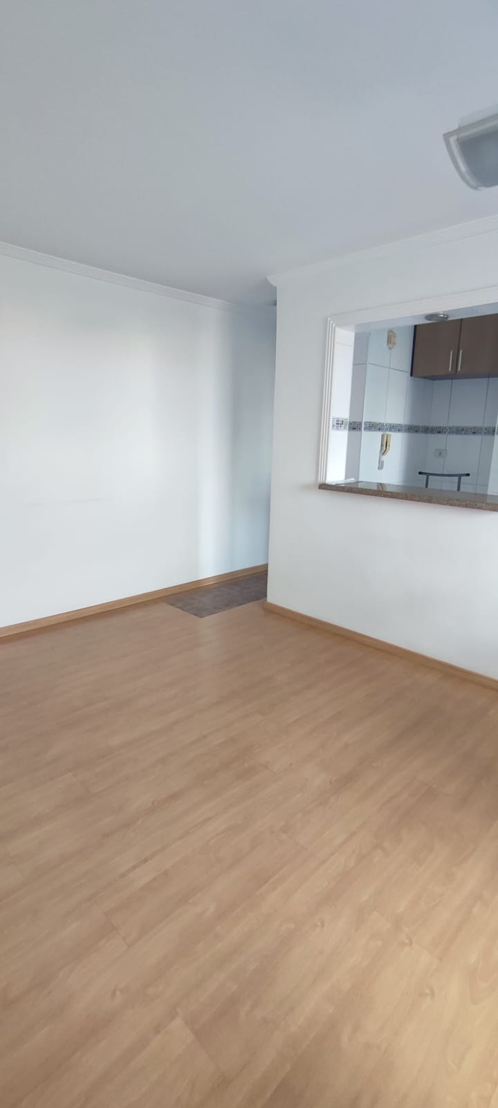 Imagem Apartamento com 2 Quartos à Venda, 56 m² em Jardim Umuarama - São Paulo