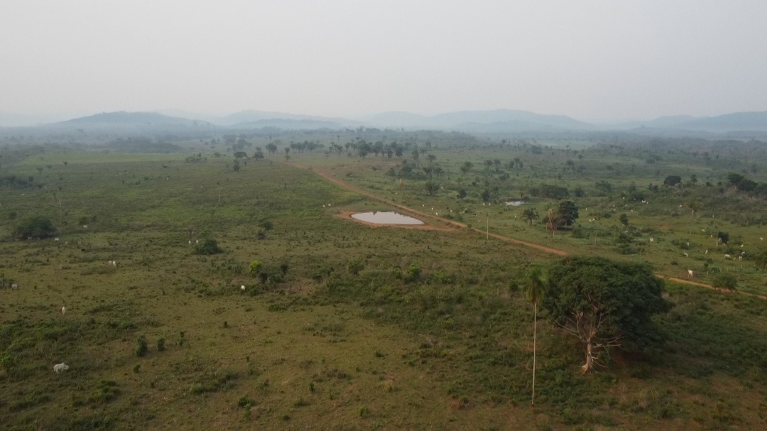 Imagem Fazenda à Venda, 1 m²em Centro - São Félix do Xingu Imagem Fazenda à Venda, 1 m²em Centro - São Félix do Xingu