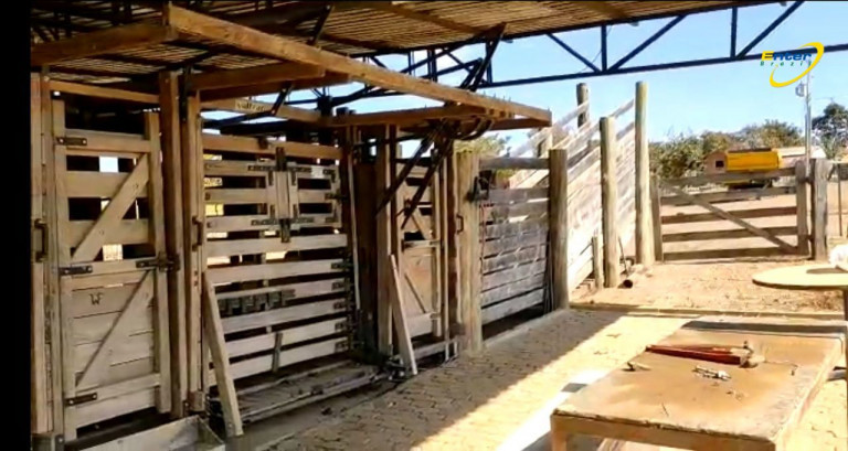 Imagem Fazenda à Venda, 297 HAem Paranoá - Brasília