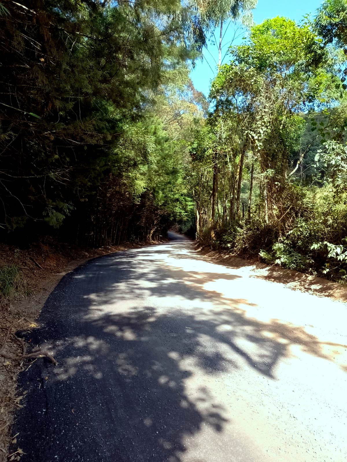 Imagem Chácara à Venda, 20.000 m² em Centro - Poços de Caldas Imagem Chácara à Venda, 20.000 m² em Centro - Poços de Caldas