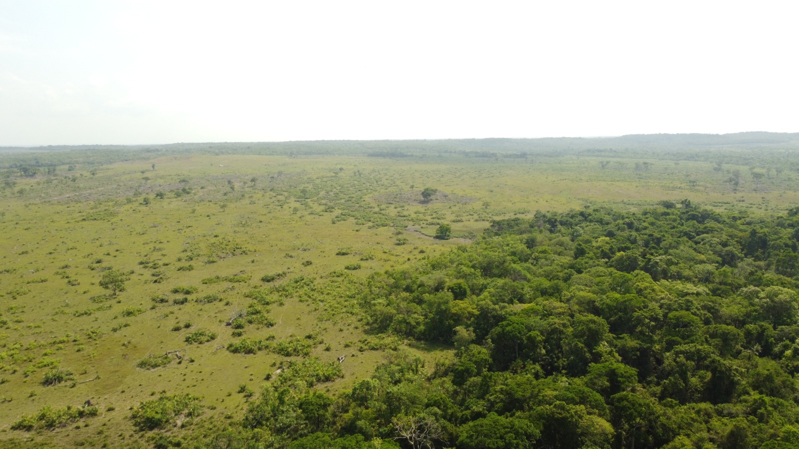 Imagem Fazenda à Venda, 523.000 HA em Mata Geral - Redenção