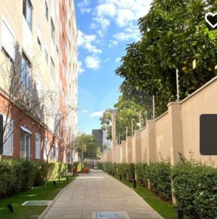 Imagem Apartamento com 2 Quartos para Alugar,  em Vila Leopoldina - São Paulo