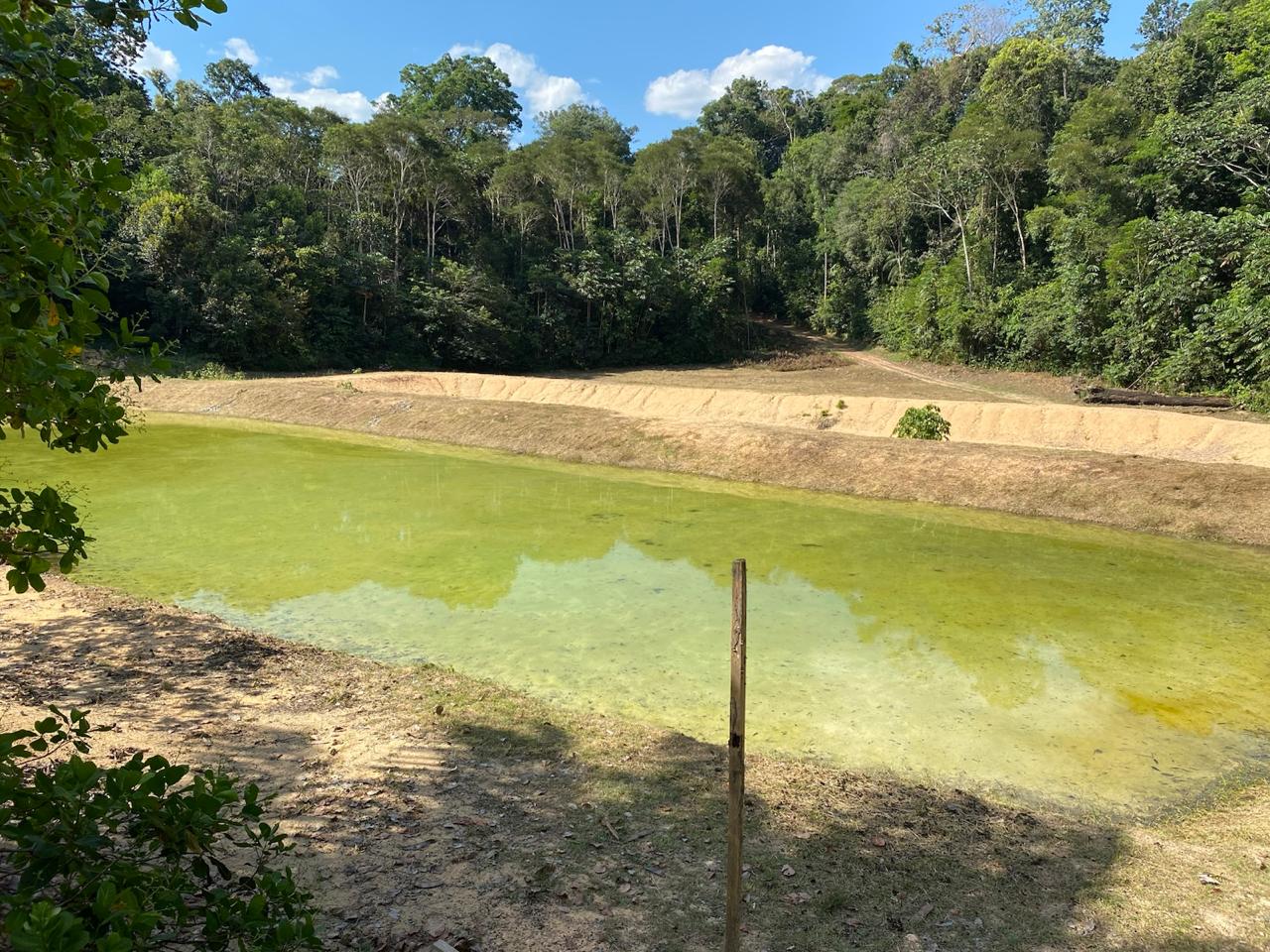 Imagem Chácara com 3 Quartos à Venda, 25.000 m² em Presidente Fegueiredo - Manaus