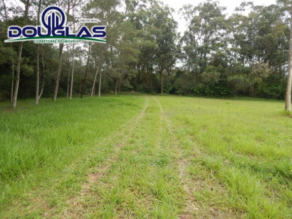 Imagem Chácara com 3 Quartos à Venda, 80 m² em Águas Claras - Viamão