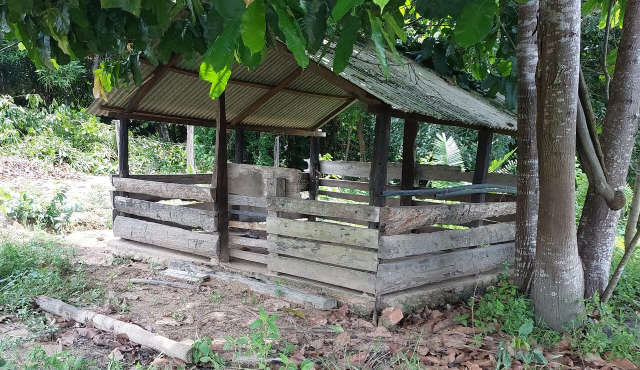 Imagem Fazenda à Venda, 9 Alq MGem Nova Marabá - Marabá