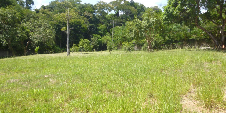 Imagem Chácara com 2 Quartos à Venda, 6.300 m² em Centro - Santa Isabel Imagem Chácara com 2 Quartos à Venda, 6.300 m² em Centro - Santa Isabel
