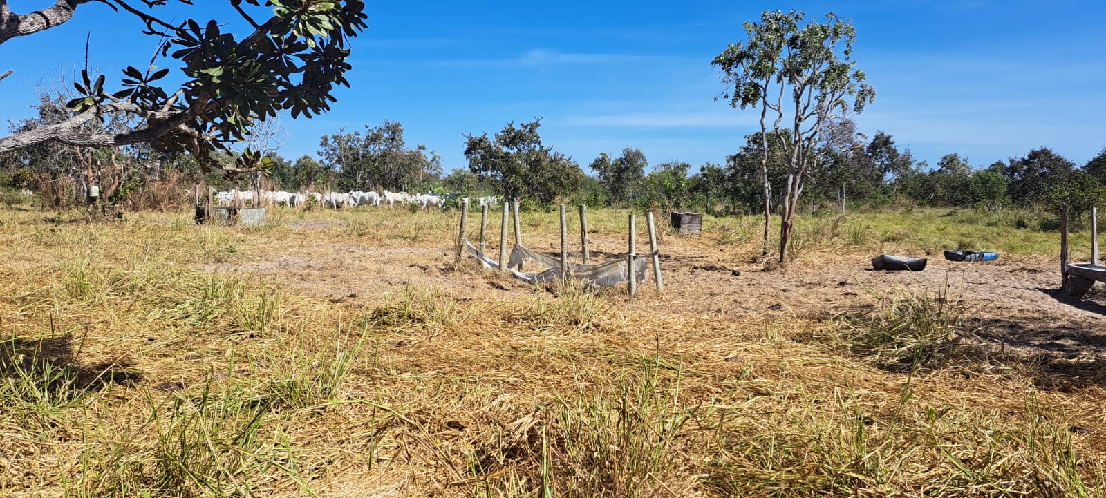 Imagem Fazenda à Venda, 25 Alq GOem Zona Rural - Araguaiana