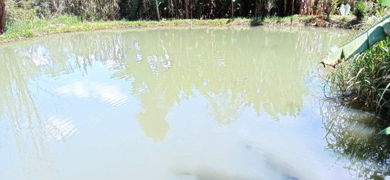 Imagem Terreno à Venda, 450.000 m² em Área Rural de Itabirito - Itabirito