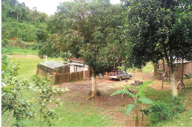 Imagem Terreno à Venda, 726.000 m² em Jardim Mirna - Taboão da Serra Imagem Terreno à Venda, 726.000 m² em Jardim Mirna - Taboão da Serra