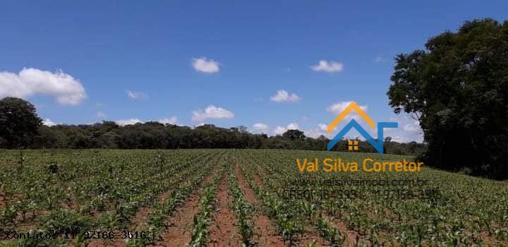 Imagem Chácara com 3 Quartos à Venda, 32 m²em Alto Da Serra (Mailasqui) - São Roque Imagem Chácara com 3 Quartos à Venda, 32 m²em Alto Da Serra (Mailasqui) - São Roque