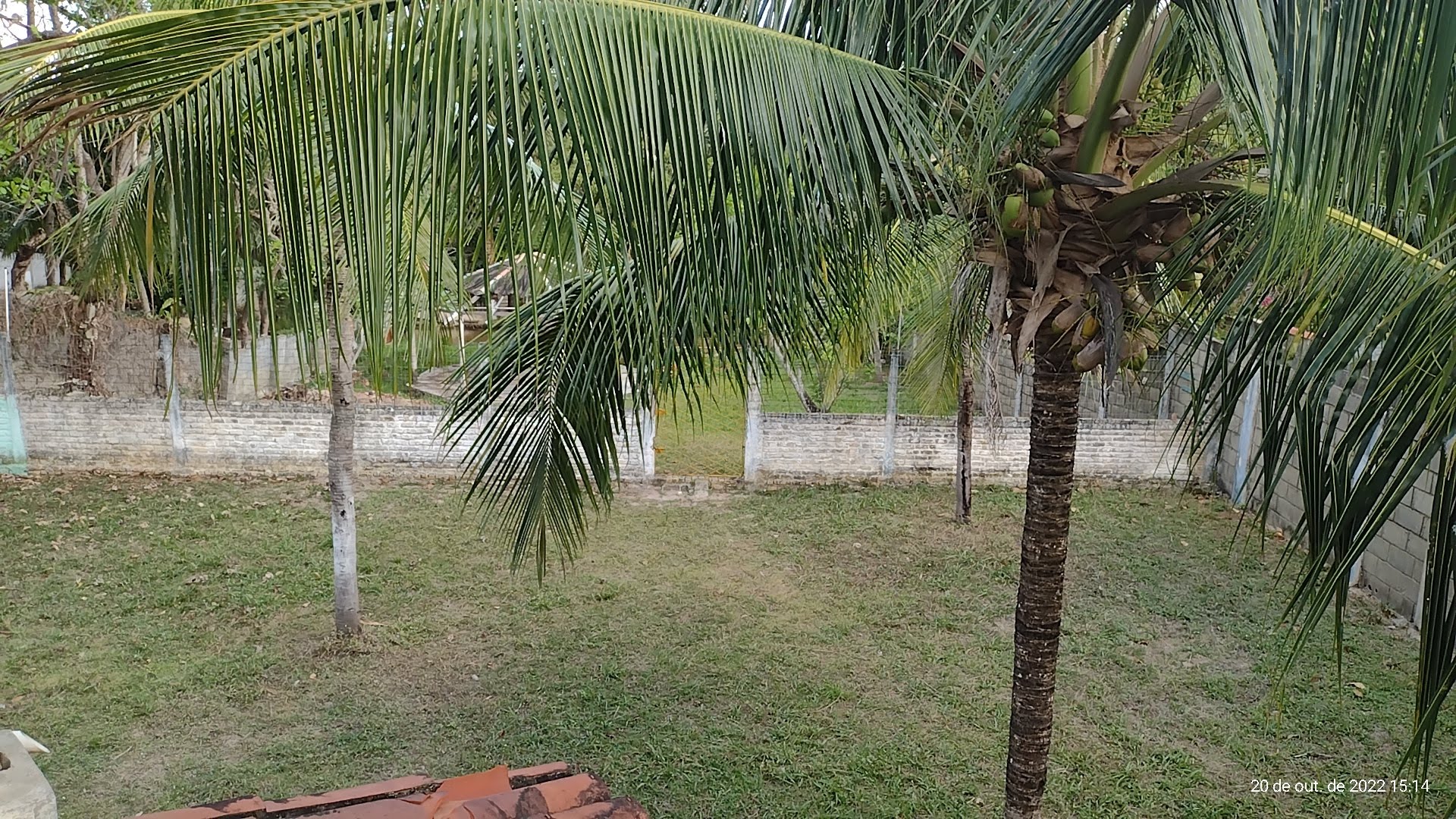 Imagem Chácara com 3 Quartos à Venda, 1 m² em Cajupiranga - Parnamirim