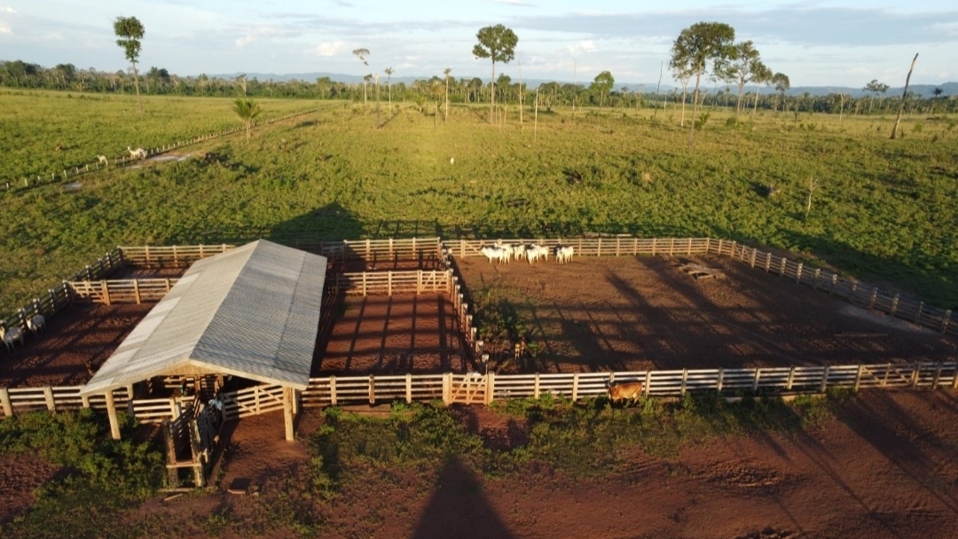 Imagem Fazenda à Venda, 430 m² em Centro  - São Félix do Xingu