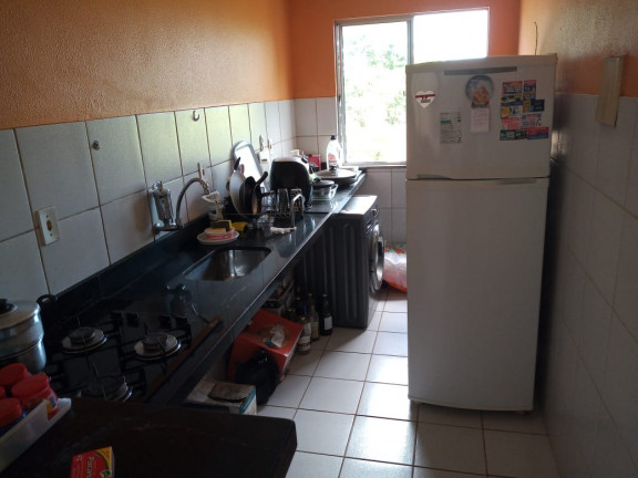 Imagem Apartamento com 2 Quartos para Alugar, 54 m² em Turu - São Luís Imagem Apartamento com 2 Quartos para Alugar, 54 m² em Turu - São Luís