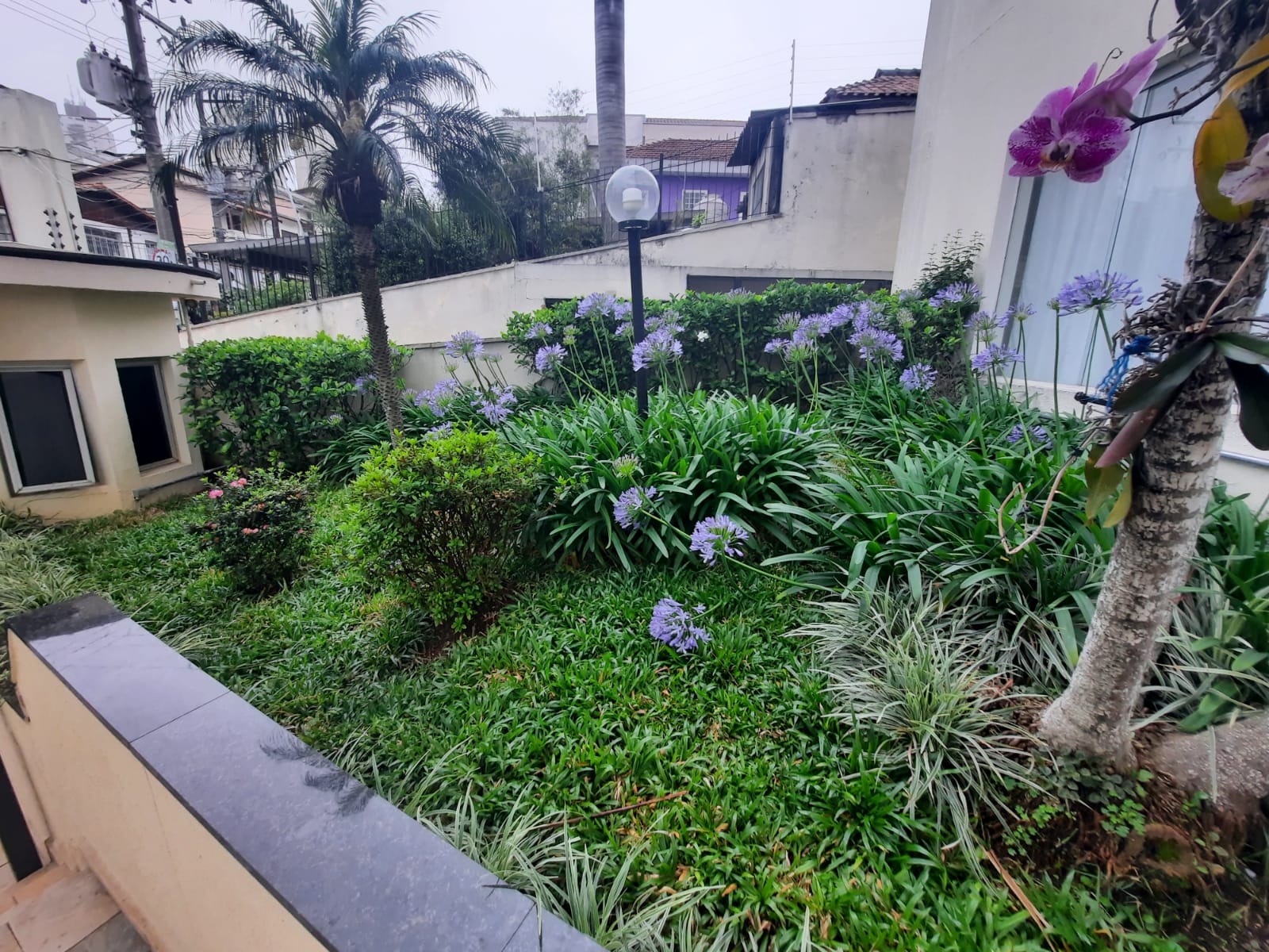 Imagem Apartamento com 2 Quartos à Venda, 55 m²em Vila Nivi - São Paulo