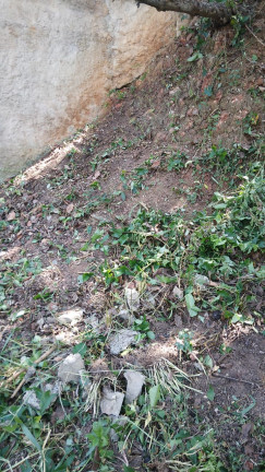 Imagem Terreno à Venda, 500 m² em Vila Gustavo - São Paulo