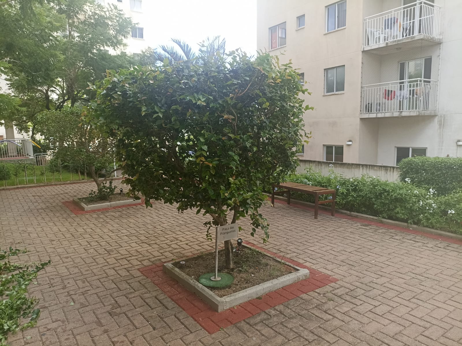Imagem Apartamento com 3 Quartos para Alugar, 69 m²em Nova Parnamirim - Parnamirim Imagem Apartamento com 3 Quartos para Alugar, 69 m²em Nova Parnamirim - Parnamirim