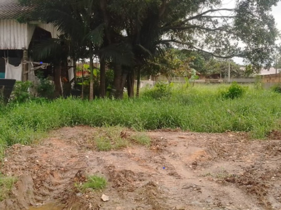 Imagem Terreno à Venda, 300 m² em itajuba - Barra Velha Imagem Terreno à Venda, 300 m² em itajuba - Barra Velha